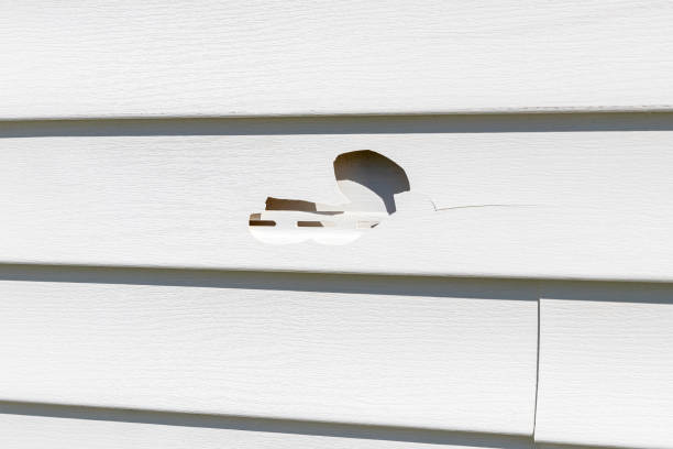 Trusted Houston, MO Siding Installation & Repair Experts